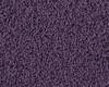 Carpets - Tosh 1400 cab 400 - OBJC-TOSH - 1408 Pflaume