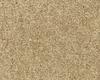 Carpets - Riga jt 400 500 - CRE-RIGA - 10 Beige