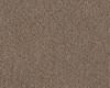 Carpets - Pure Wool 2600 cab 400 - OBJC-PUREWL - 2604 Acorn