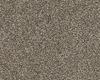 Carpets - DSGN Force sd b2b 50x50 cm - MOD-FORCE - 42