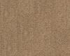Carpets - Quartz ab 400 (500) - BLT-QUARTZ - 037