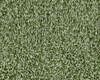 Carpets - Flash 1400 cab 400 - OBJC-FLASH - 1447 Spring