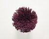 Carpets - FdS Band 0 Botanical Silk (T) - FERR-BOTSILKT - T10 Purple