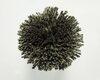 Koberce - FdS Band 0 Botanical Silk (T) - FERR-BOTSILKT - T127 Seaweed