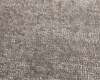 Carpets - Babri pp 400 500 - JAC-BABRI - Shale