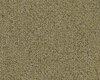 Carpets - Kindred Belong Tile tw sd 50x50 cm - SHA-BELONGTW - Golden 48211