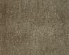 Carpets - Gloss 100% pes ct 500 - ITC-GLOSS - 19049 Earth