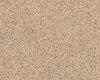Vinyl - Polysafe Standard pur 2 mm 200 - OBF-PS-STAND2 - 4140 Autumn Beige