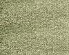 Carpets - Bichon lmb 200 400 - FLE-BICHON2400 - 325720