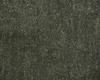 Carpets - Gloss ct 500 - ITC-GLOSS - 19046 Beetle