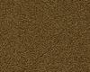 Carpets - Aeon ab 400 - CON-AEON - 153 Lion