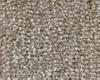Carpets - Sheba ab (400) 500  - CRE-SHEBA - 1764
