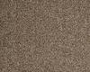 Carpets - Evolve ab 400 500 - BLT-EVOLVE - 49