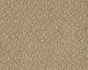 Carpets - Spectrum Dot sd fm imp 400 - FLE-SPECTRDOT - 438100 Sandshell