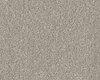 Carpets - Spectrum Tonals sd fm imp 400 - FLE-SPECTRTON - 440105