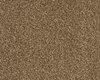 Carpets - Spectrum Tonals sd fm imp 400 - FLE-SPECTRTON - 440200