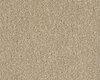 Carpets - Spectrum Tonals sd fm imp 400 - FLE-SPECTRTON - 440050