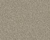 Carpets - Poodle 1400 Acoustic 50x50 cm - OBJC-POODLE50 - 1404 Kiesel