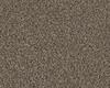 Carpets - Poodle 1400 Acoustic 50x50 cm - OBJC-POODLE50 - 1477 Greige