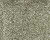 Carpets - Hermelin lmb 200 400 - FLE-HERMELIN2400 - 671320