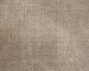 Carpets - Elegance 100% Viscose lxb 400 500   - ITC-ELEGANCE - 6661 Elephant Skin