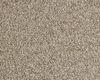 Carpets - Blush Inspirations cb 400 - BEA-BLUSHINSP - 317 Natural