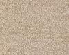 Carpets - Blush Inspirations cb 400 - BEA-BLUSHINSP - 474 Peach