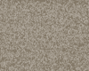 Carpets - Blush Inspirations cb 400 - BEA-BLUSHINSP - 408 Hazy Earth