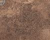 Carpets - Coronado MO lftb 25x100 cm - IFG-CORONADOMO - 029