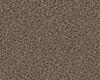 Carpets - Eddy 2100 cab 400 - TOBJC-EDDY - 2155 Taupe
