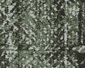 Carpets - Haven Honest tw sd 25x100 cm - SHA-HAVENHTW - Ivy 35375