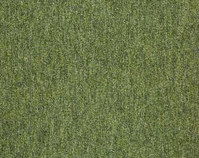Koberce - Tivoli sd acc 50x50 cm - BUR-TIVOLI50 - 20201 Guyana Moss