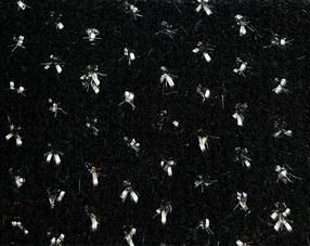 Event textiles - Bora - 41662 - 1752