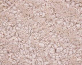 Carpets - Grizzly 12 - JOV-GRIZZLY12 - GR00