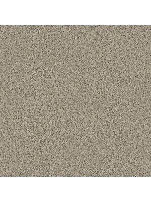 Carpets - Poodle 1400 cab 400 - OBJC-POODLE - 1404 Kiesel
