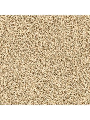 Koberce - Loft cab 400 - TOBJC-LOFT - 6555 Sable