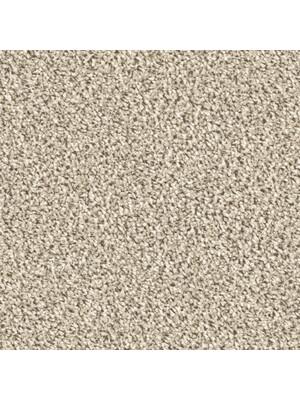 Carpets - Maxime cab 400 - TOBJC-MAXIME - 6875 Perlmutt