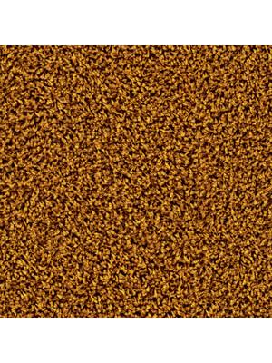 Carpets - Maxime cab 400 - TOBJC-MAXIME - 6868 Golden Tulip