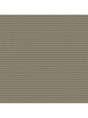 Carpets - Structures 700 cab 400 - OBJC-STRUCTRS - 0755 Quarz