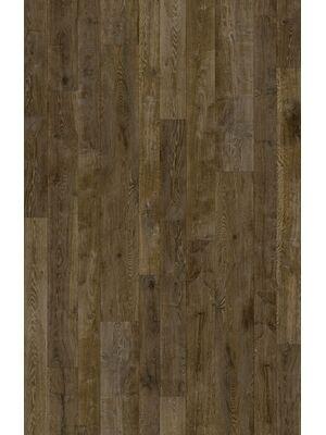 Vinyl - PhoniXtreme 19 dB 3,35-0.7 mm pur 400 - BEA-PHONIXTRM - Pacific Oak 696D