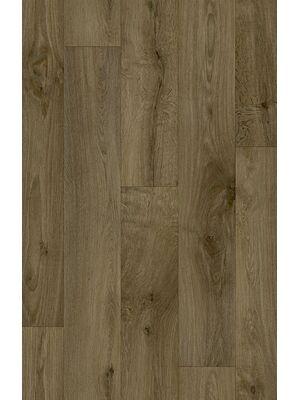 Vinyl - SoniPro 19 dB 3-0.35 mm pur 300 400 - BEA-SONIPRO - Vero 696D