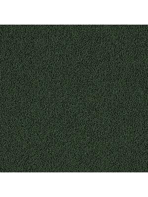 Koberce - Gloss Econyl sd cab 400 - TOBJC-GLOSS - 7919 Liane