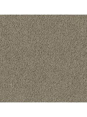 Koberce - Gloss Econyl sd cab 400 - TOBJC-GLOSS - 7903 Auster