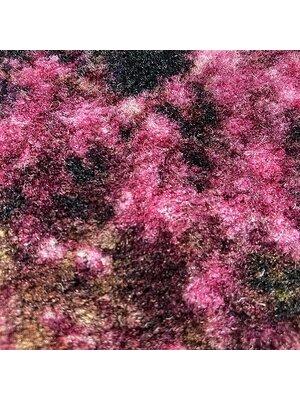 Koberce - Congress-Domingo 1000 tb 400 - IFG-DOMIN1000 - 2