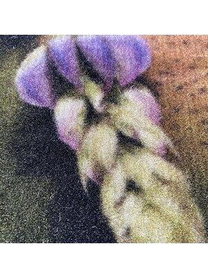 Koberce - Corso-Nevada 650 tb 400 - IFG-NEVADA650 - 2