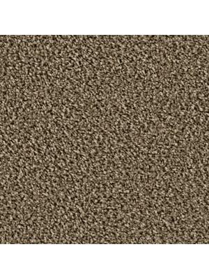 Carpets - Maxime cab 400 - TOBJC-MAXIME - 6859 Camino