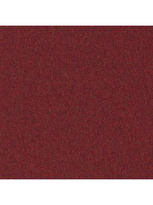 Carpets - Alpha sd b2b 50x50 cm - MOD-ALPHA - 332