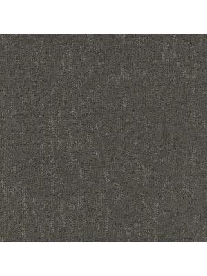 Koberce - Moss sd b2b 50x50 cm - MOD-MOSS - 850
