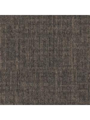 Koberce - Frame sd b2b 50x50 cm - MOD-FRAME - 825