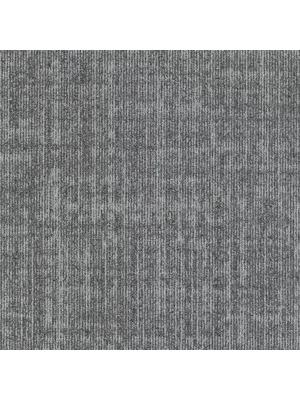 Carpets - Frame sd b2b 50x50 cm - MOD-FRAME - 915